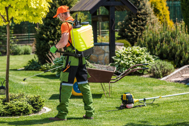 Best Pest Exclusion Services  in Rossmoor, NJ